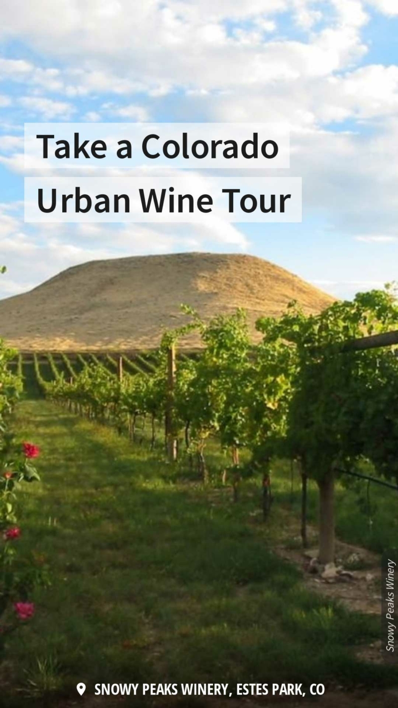 urban wine tour